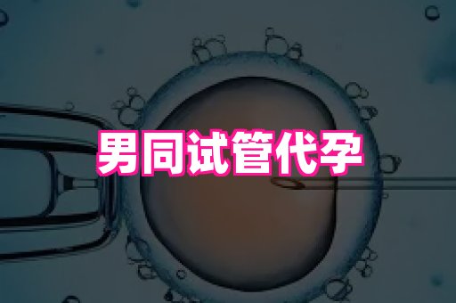 杭州助孕网 1