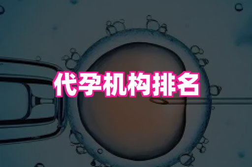 杭州助孕网 1