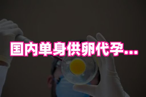 杭州助孕网 2