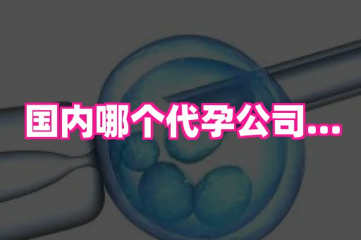 杭州助孕网 3