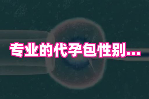杭州助孕网 4