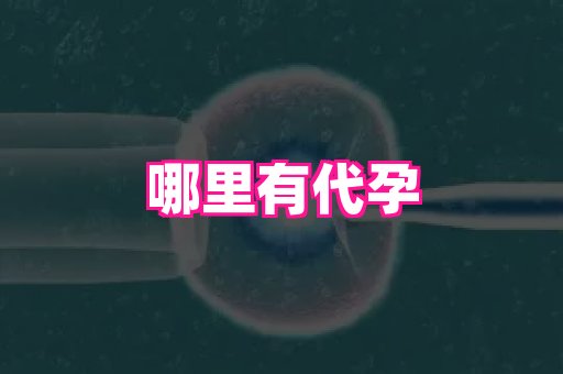 杭州助孕网 4